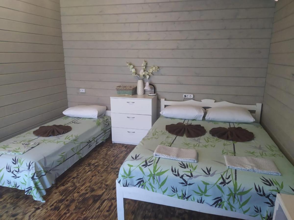 פיזונדה Guest House Lev מראה חיצוני תמונה