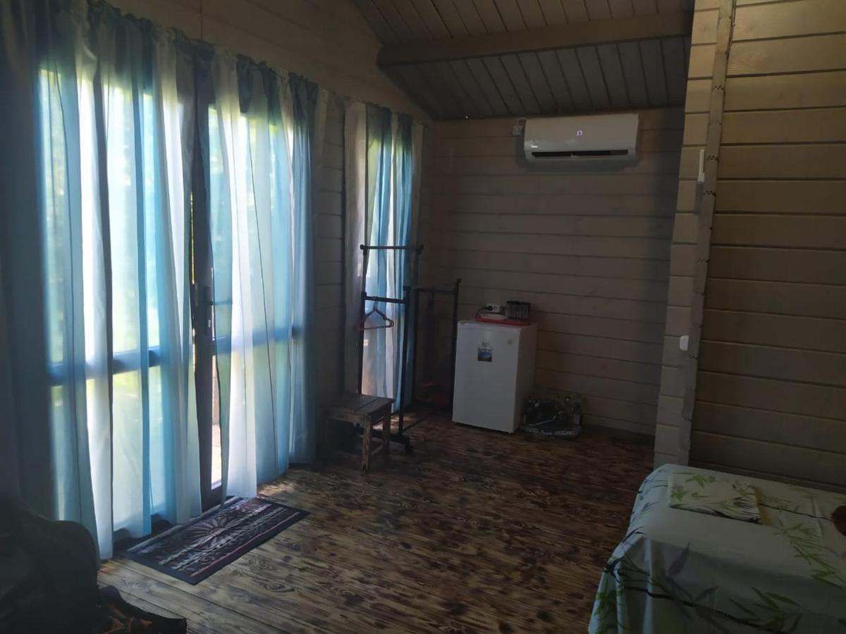 פיזונדה Guest House Lev מראה חיצוני תמונה
