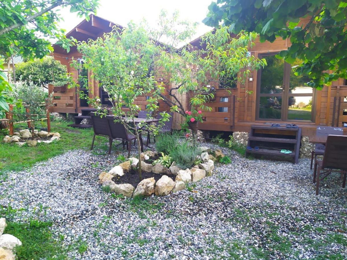 פיזונדה Guest House Lev מראה חיצוני תמונה